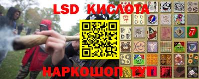 прущие грибы Апрелевка