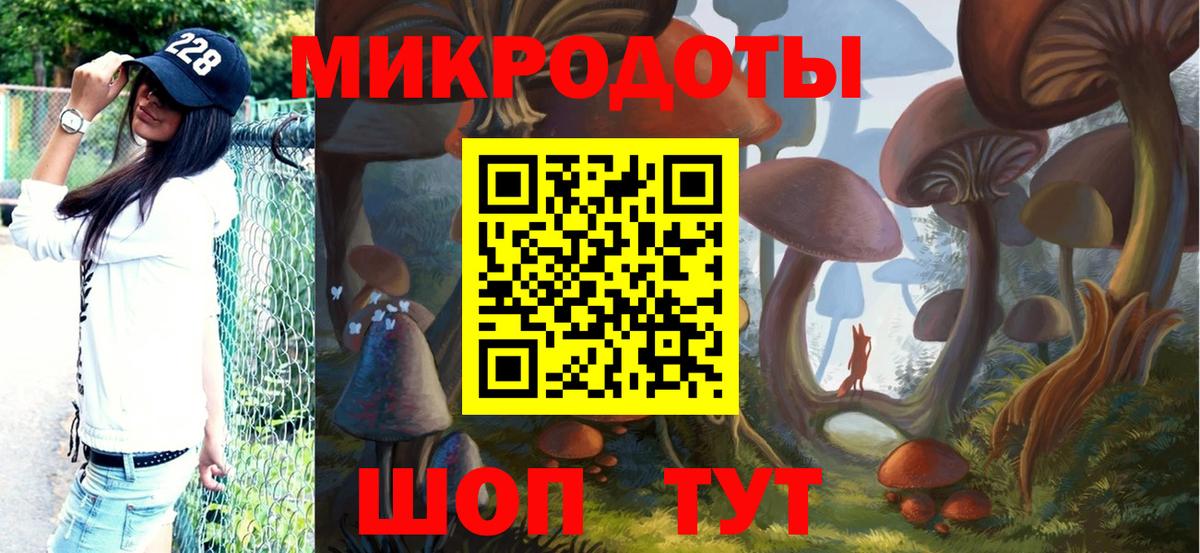 Псилоцибиновые грибы мицелий Жигулёвск